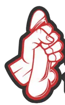 Braiiz logo