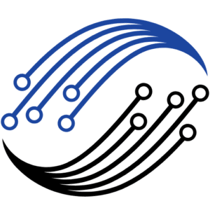 Dns logo