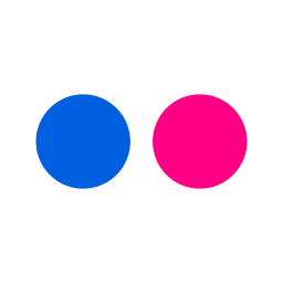 Flic logo