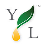 Youngliving logo
